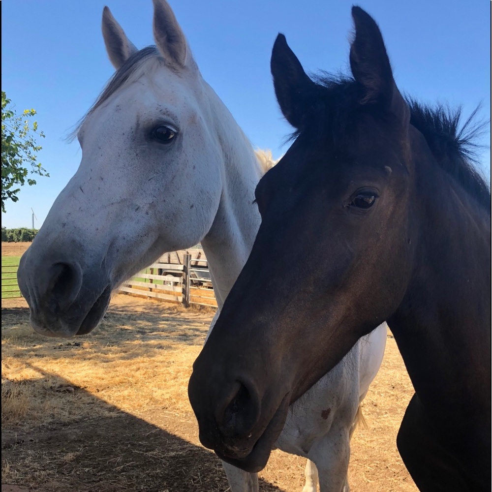 Meet your Posher, Lucia